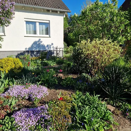 Kleine Moderne Apartmán Tauscha