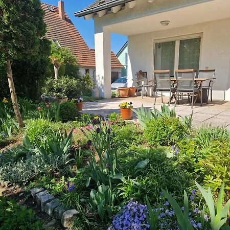 Daire Kleine Moderne