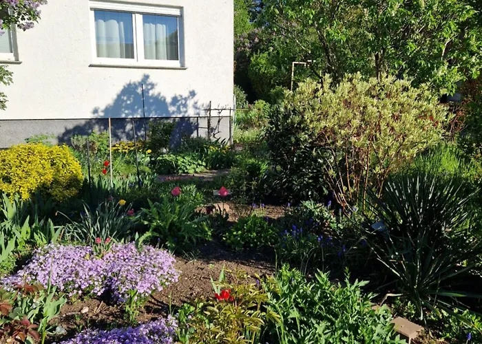 Kleine Moderne Appartement Tauscha